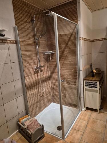 a shower with a glass door in a bathroom at fewo-aller-auszeit in Hademstorf
