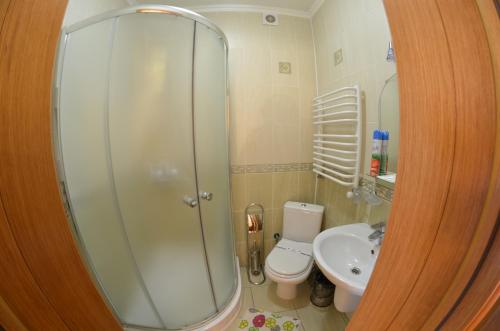 a bathroom with a shower and a toilet and a sink at Sribni Rosy in Mykulychyn