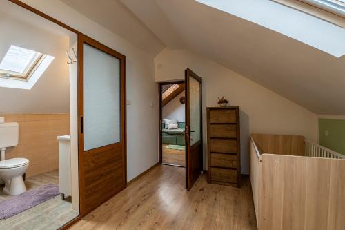 an attic bathroom with a toilet and a sink at Grandma’s Cottage in Săcele