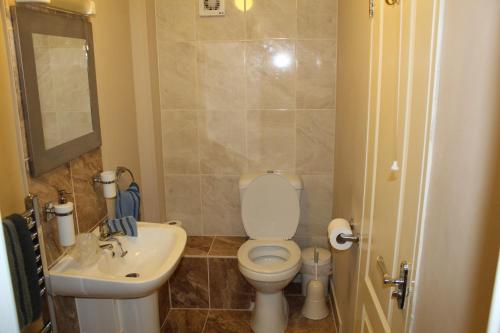 a small bathroom with a toilet and a sink at Brewery Farm House Bed & Breakfast in Swindon