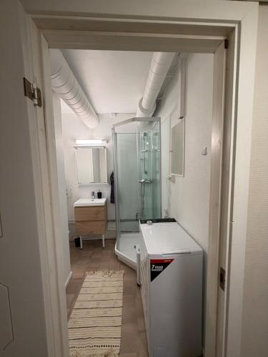 a bathroom with a glass shower and a sink at Kirkenes down town apartments in Kirkenes