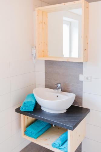 a bathroom with a sink and a mirror at Hellbachhof in Equarhofen