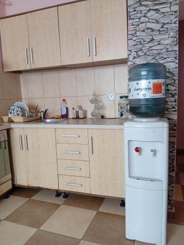a kitchen with a counter with a watermill on top of a refrigerator at Apartament MaTei in Timişoara