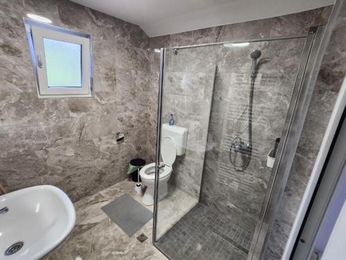 a bathroom with a shower and a toilet and a sink at Casa Campionilor in Hodoşa