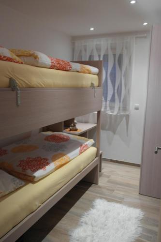 リオ・ディ・プステリーアにあるAppartement Fischnallerの二段ベッド2台とラグが備わる客室です。