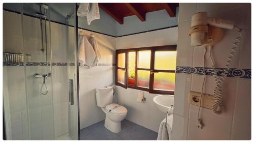 a bathroom with a toilet and a shower and a sink at Casa Rural Los campos in Corao