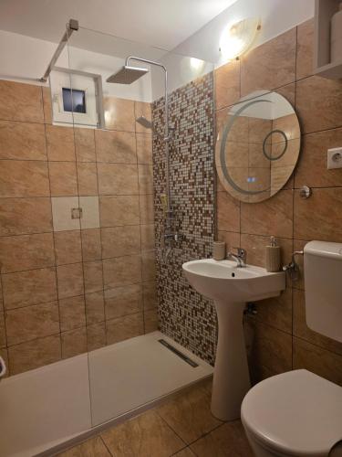 a bathroom with a shower and a sink and a toilet at Cabana Maly in Petroşani