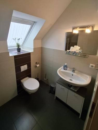 a bathroom with a white toilet and a sink at Ferienwohnanlage John Alter Stall in Burg