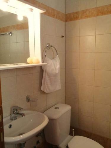 a bathroom with a toilet and a sink and a mirror at Platis-Gialos apartments in Loutsa