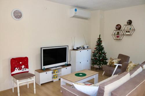 a living room with a television and a christmas tree at Vila Hristov in Delčevo