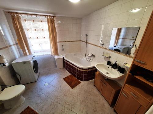 a bathroom with a tub and a toilet and a sink at Apartmány 107 in Olešnice v Orlických horách