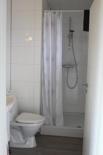 a white bathroom with a toilet and a shower at Systrakot - Studio Apartments in Talknafjordur