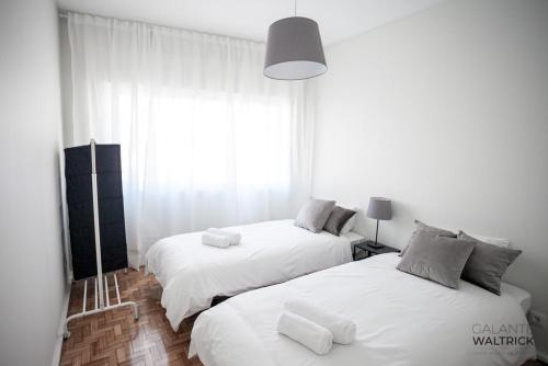 Quiet 3BR Flat - City Center - Warm and Bright - Remote Work