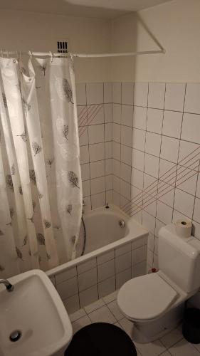a bathroom with a toilet and a tub and a sink at Private Ideal Apartment in Fribourg