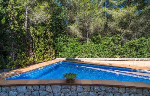 a swimming pool with a plant in front of a forest at Cocodrilo in Alcudia