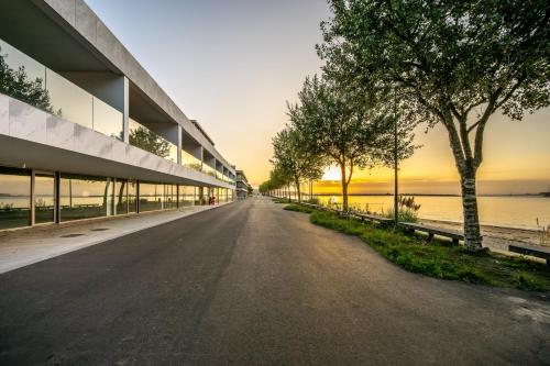an empty street in front of a building with trees at Porto de Gaia in Vila Nova de Gaia