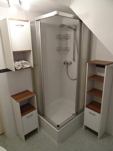 a shower with a glass door in a bathroom at Ferienwohnung Strunz Backnang ruhig zentrumsnah & S-Bahn in Backnang