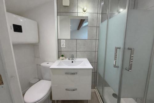 a bathroom with a toilet and a sink and a shower at Le cocon - STUDIO- MACON in Saint-Laurent-sur-Saône