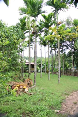 Gallery image of Bandal Valley Farm in Jāmb