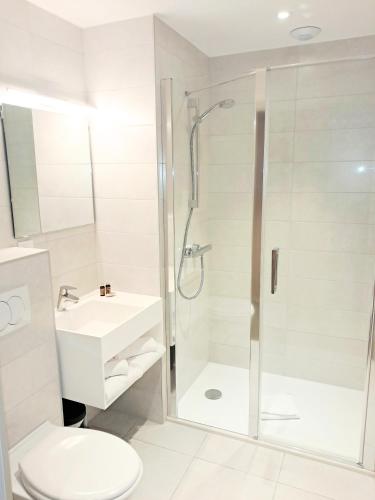 a bathroom with a shower and a toilet and a sink at Hôtel du Cheval Blanc Brunstatt in Brunstatt