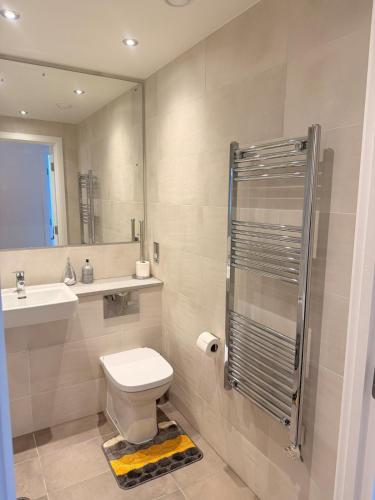 a bathroom with a toilet and a sink and a shower at Grace House in St. Albans