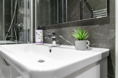Upper Grove 2 Bedroom Apartment - Edinburgh photo 27