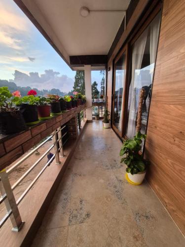 a balcony of a house with potted plants at Pranavan Homestay in Mirik