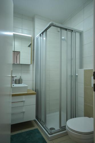 a bathroom with a shower and a toilet and a sink at Ferienwohnungen Neubauer in Kaltenberg