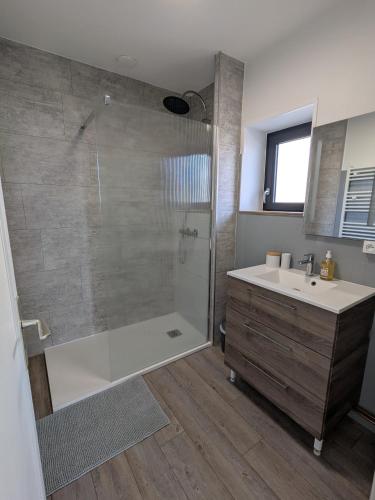 a bathroom with a shower and a sink at Gîte du Vieux Cuvage in Vaux-en-Beaujolais