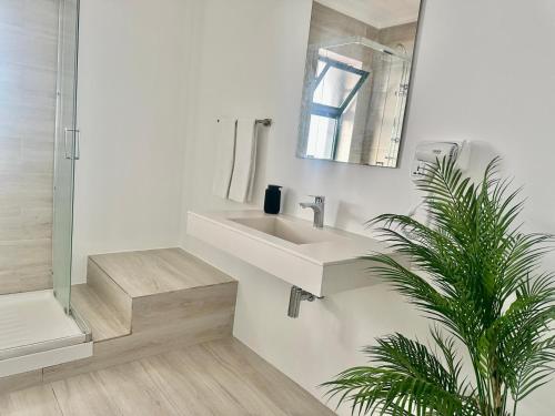 a bathroom with a sink and a mirror and a plant at AZORES PEDRA APARTMENTS - T0 e T1 in Ponta Delgada
