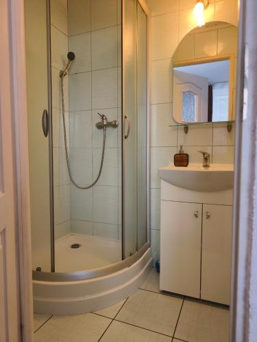 a bathroom with a shower and a sink at Męcikówka in Szczyrk