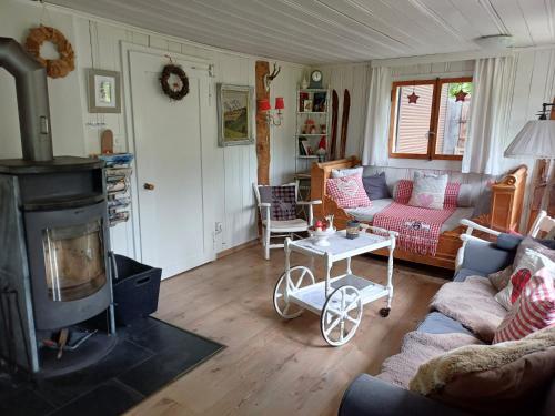 a living room with a couch and a fireplace at Chalet Chic mit Hot Pot in Wildhaus