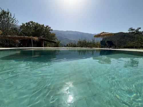 a large pool of blue water in a house at Guesthouse Lumo & pool in Përmet