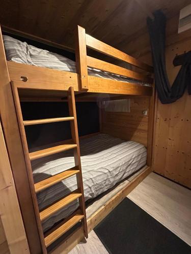 un lit superposé avec une échelle dans une cabine dans l'établissement Studio équipé / centre station, aux Carroz d'Arâches