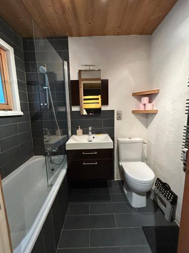 une salle de bains avec toilettes, lavabo et douche dans l'établissement Studio équipé / centre station, aux Carroz d'Arâches