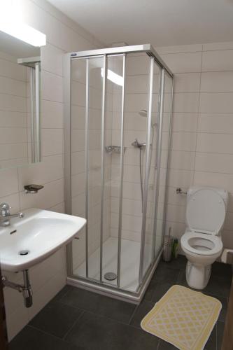 a bathroom with a shower and a sink and a toilet at Haus Panorama in Schwarzsee