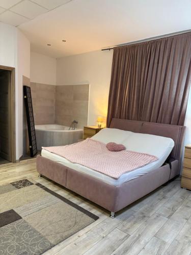 a bedroom with a large bed and a bath tub at Silver Dream Apartmanház in Debrecen