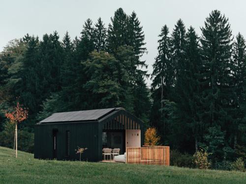 a green shed in the middle of a field at Hapfn Tiny Houses mit Hot Tub in Eibiswald