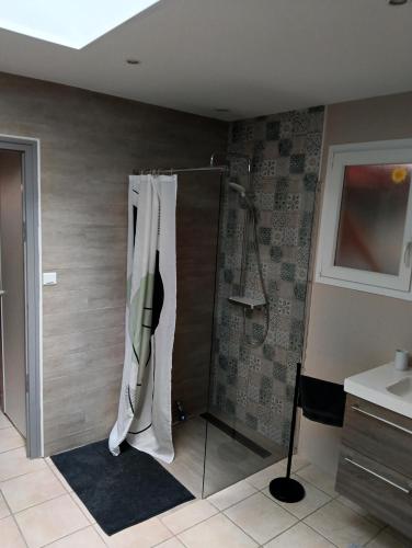 a shower with a glass door in a bathroom at Le gîte Le Marillet in Thorigny