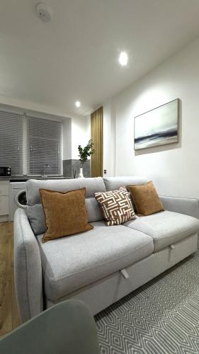 a living room with a gray couch with pillows at Modern apartment in Edinburgh in Edinburgh