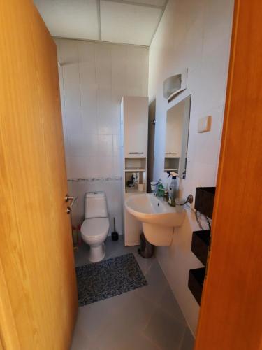 a bathroom with a toilet and a sink at Villa Jasmin in Aheloy