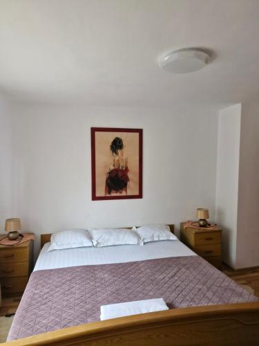 a bedroom with a bed with a picture on the wall at Pensiunea Cabana Viselor ,Apuseni in Vadu Moţilor