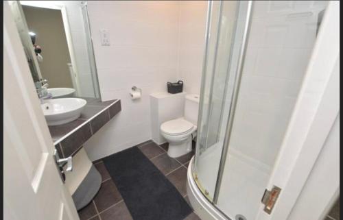 a bathroom with a toilet and a sink and a shower at Seabrook Lodge in Newquay