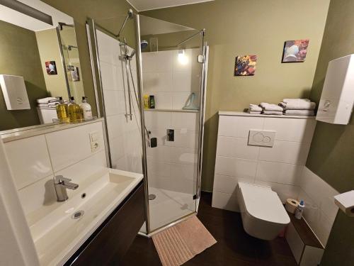 a bathroom with a shower and a toilet at Deluxapartment in Kaiserslautern