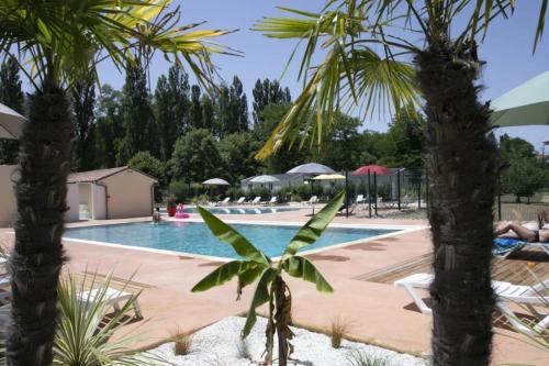 a pool with palm trees and umbrellas at ZEcamping 3 étoiles chiens acceptés piscine en bord de rivière avec Canoë in Mazères