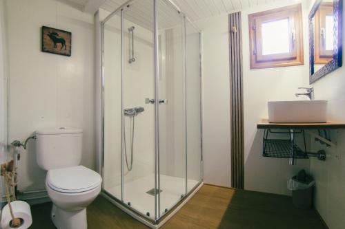ein Badezimmer mit Toilette und Glasdusche in der Unterkunft Camping Boneta in Barruera