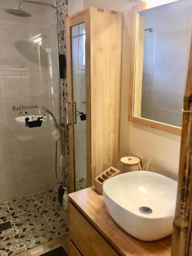 a bathroom with a white sink and a shower at Maison côté lac in Parentis-en-Born