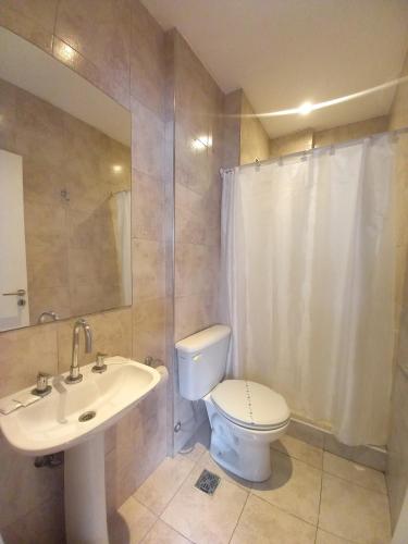 a bathroom with a toilet and a sink and a shower at Osiris Plaza in Buenos Aires