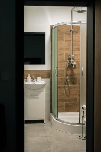 a bathroom with a shower and a sink at Ajncla in Katowice