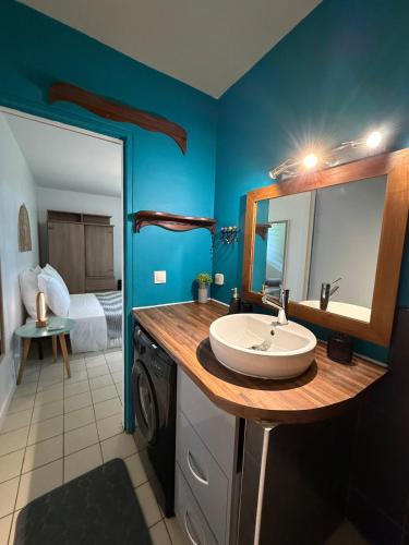 a bathroom with a sink and a washing machine at Cozy cocoon in La Madeleine in Cayenne